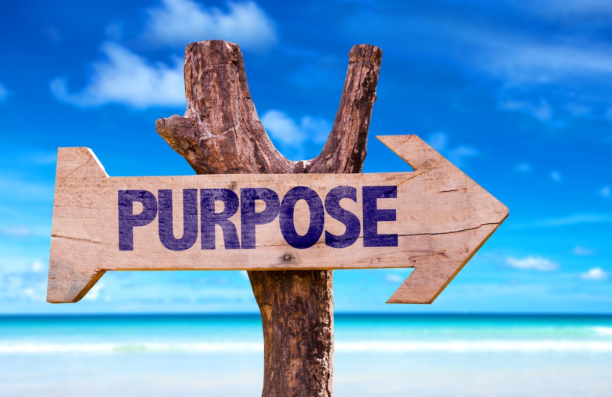 Finding Your Purpose And Coming Alive